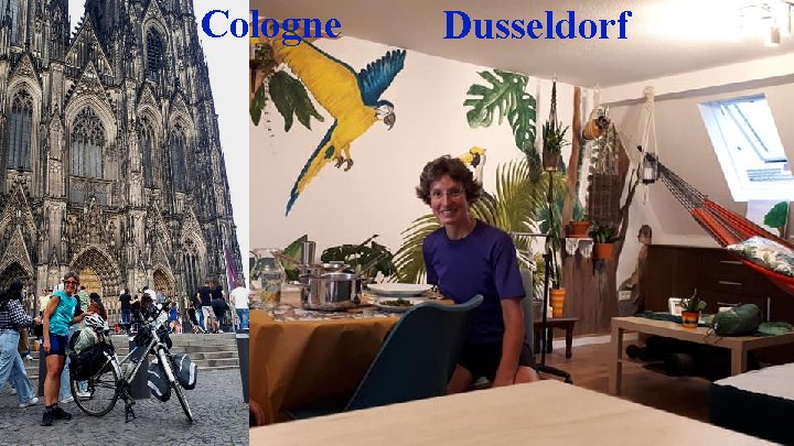CologneDusseldorf