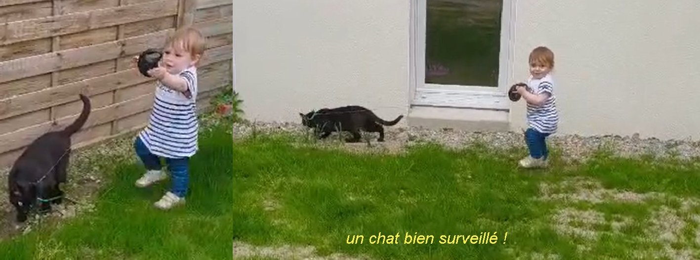EllanaChat