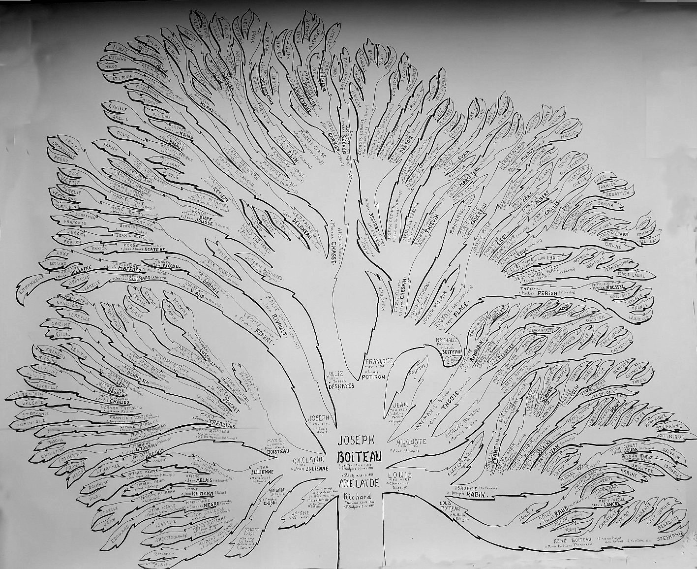 genealogie